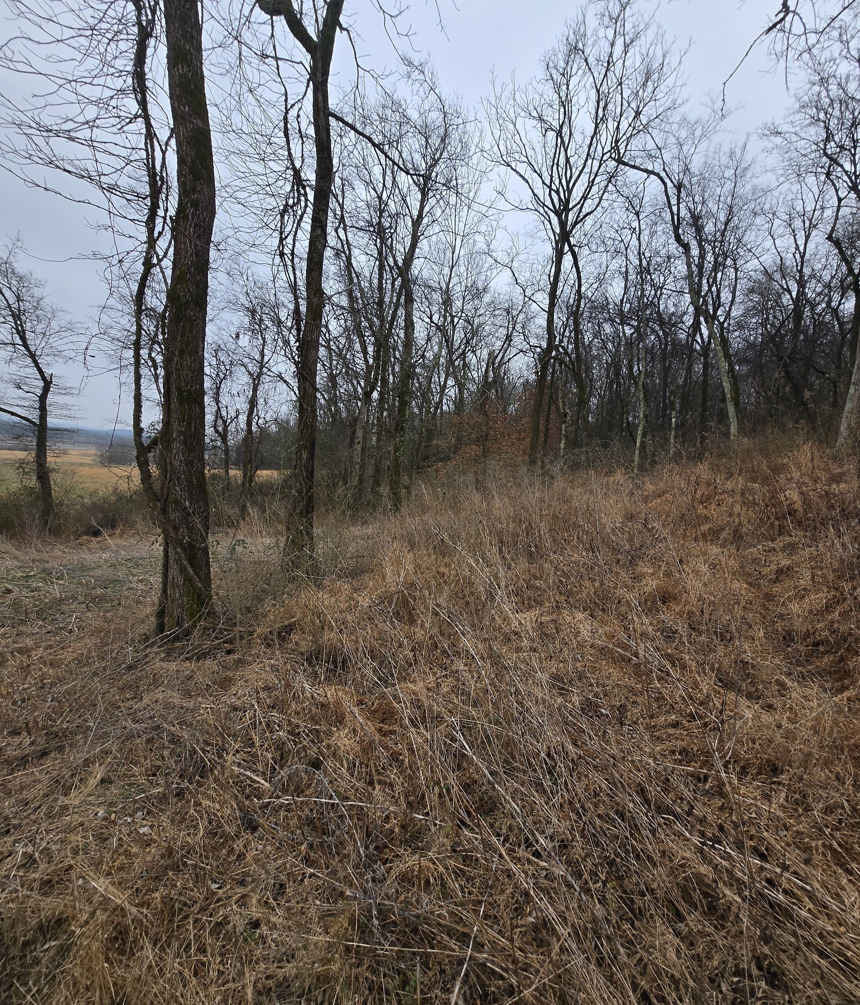 22241 Hwy 64 Property Photo 4