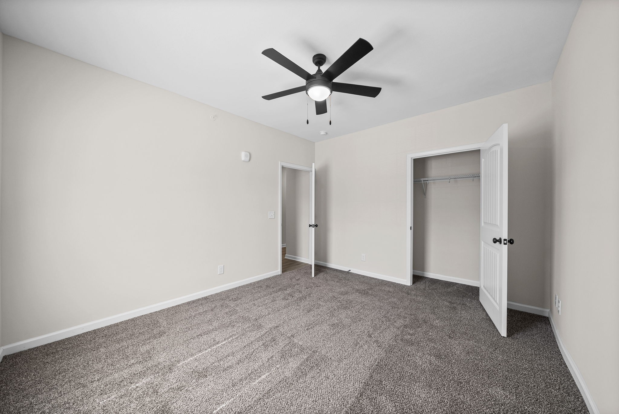 3131609 Property Photo 14