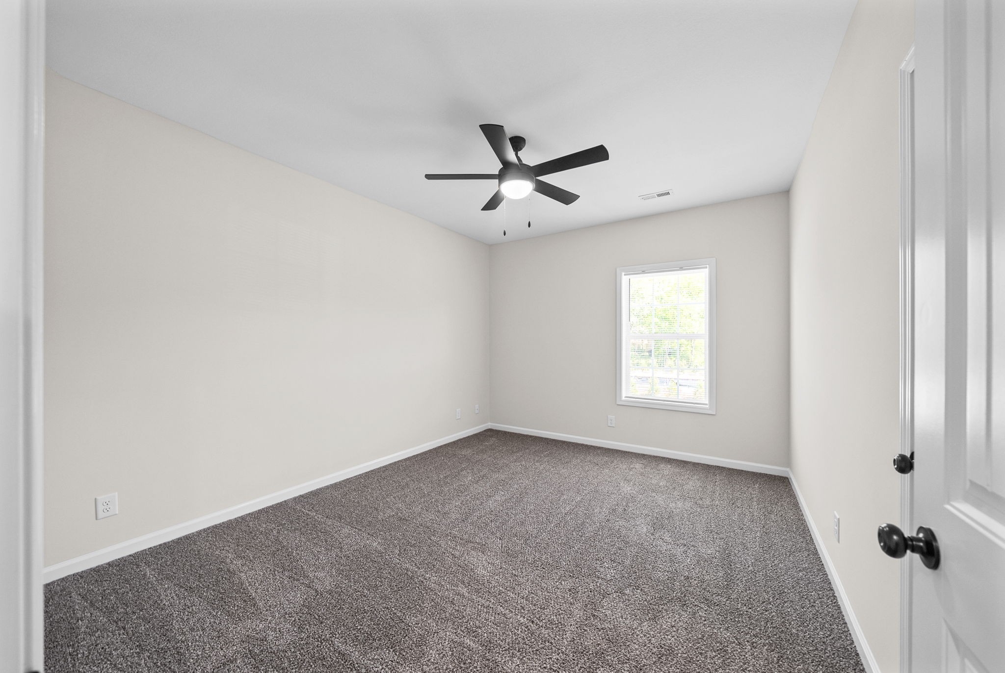 3131609 Property Photo 16