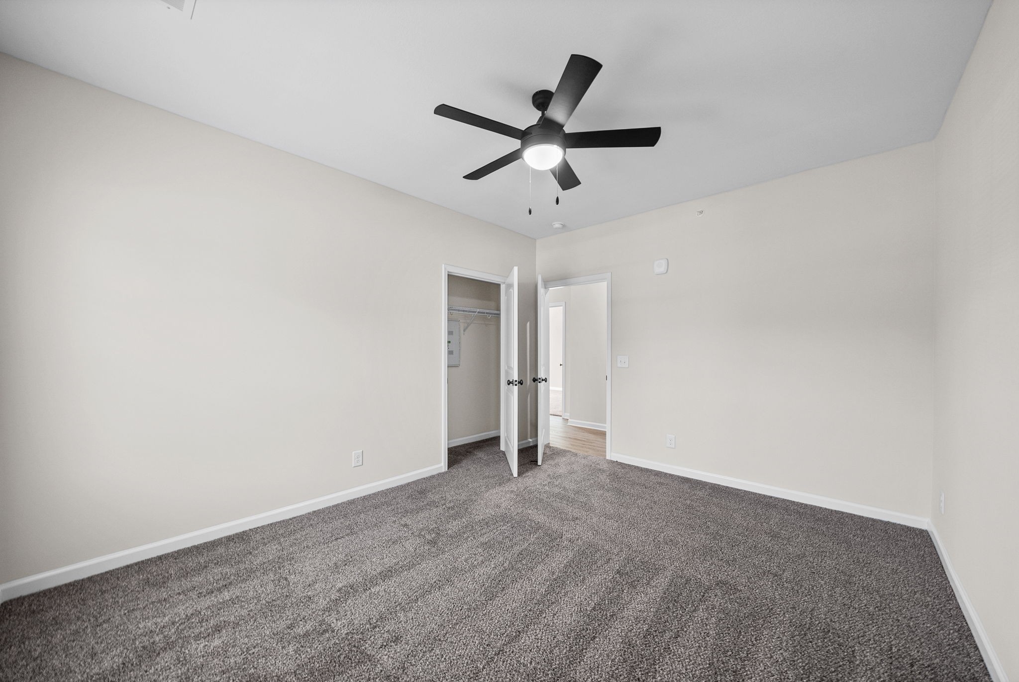 3131609 Property Photo 17