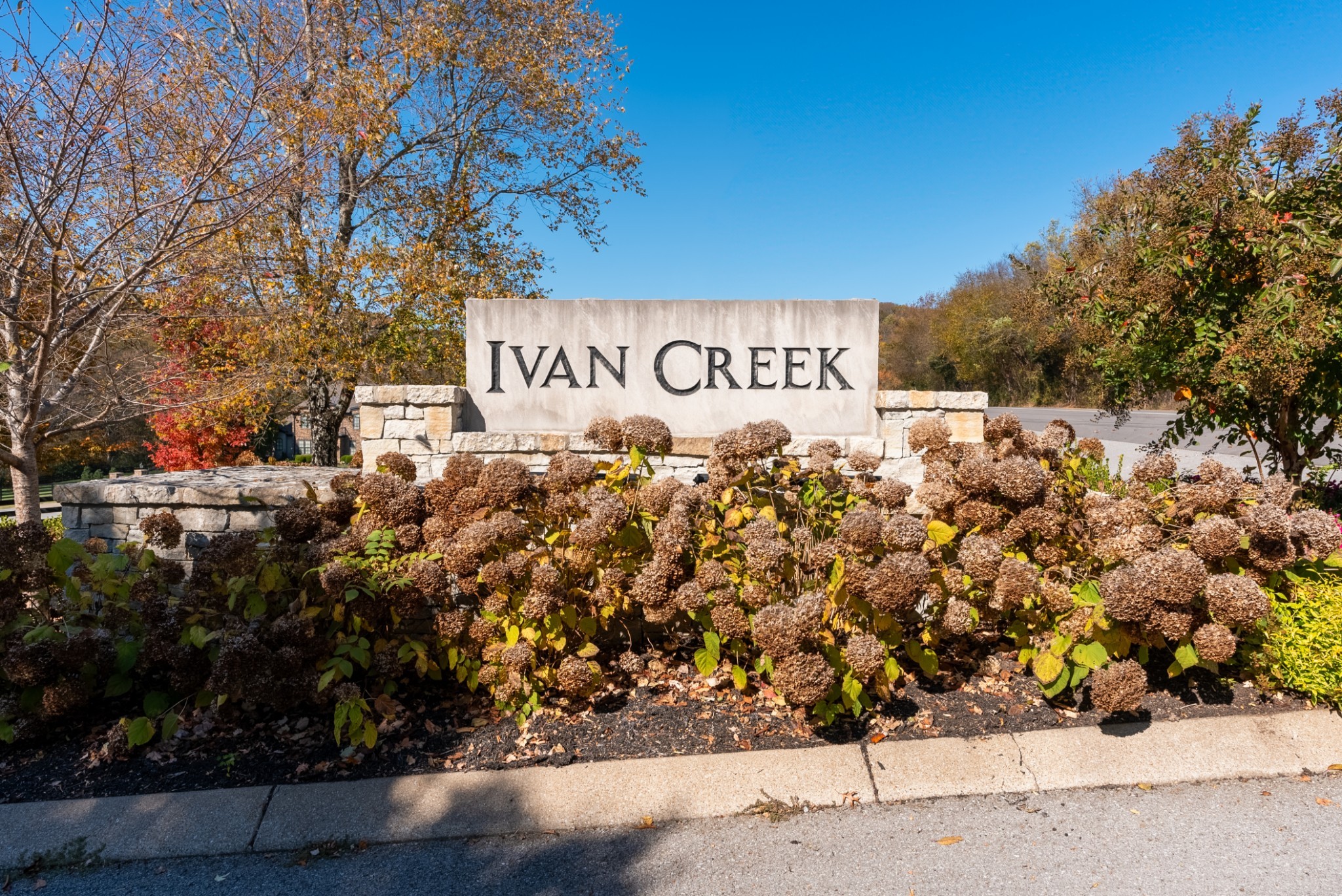 4439 Ivan Creek Dr Property Photo 1