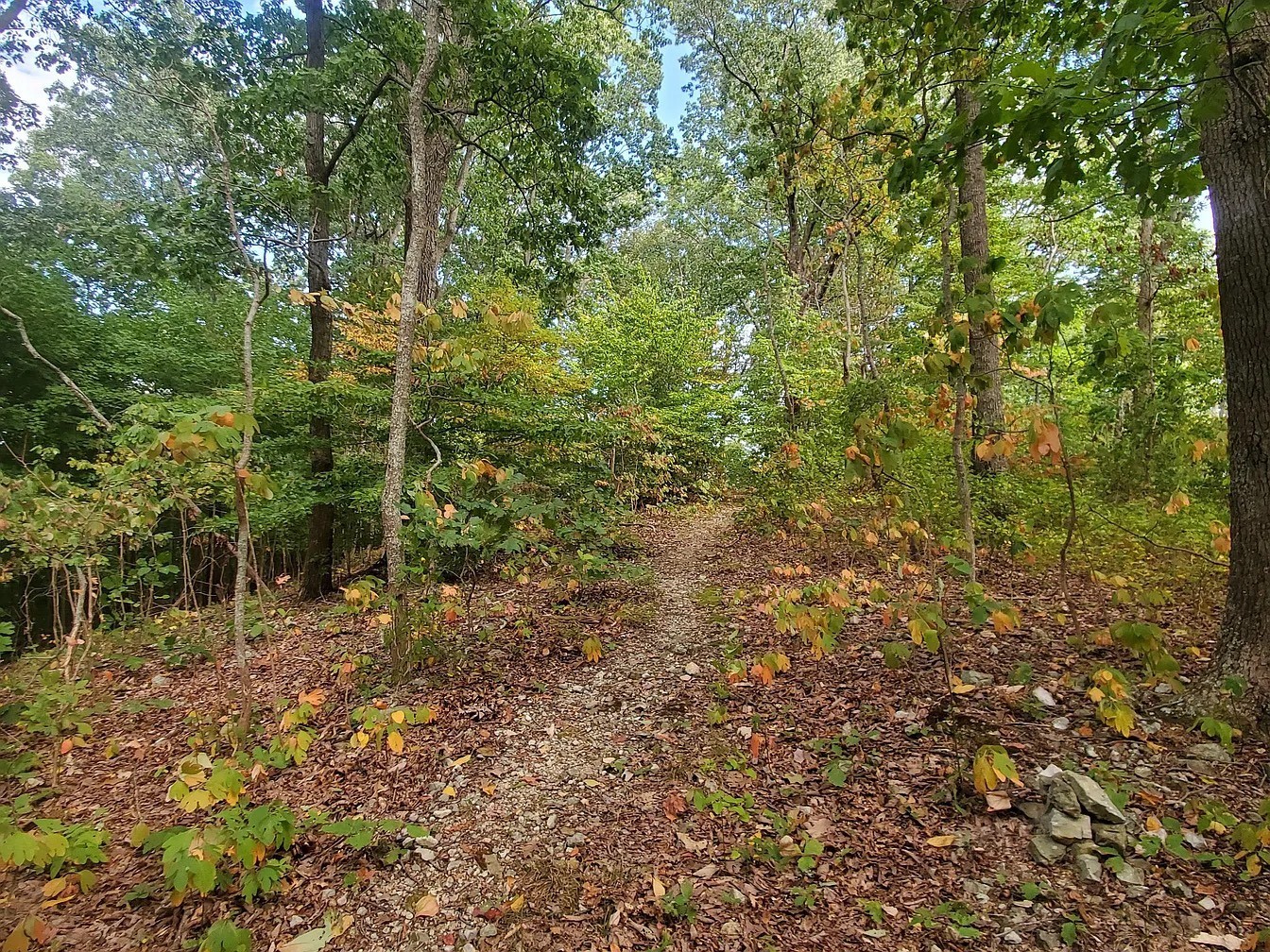 6621 Chatsworth Pl Property Photo 1