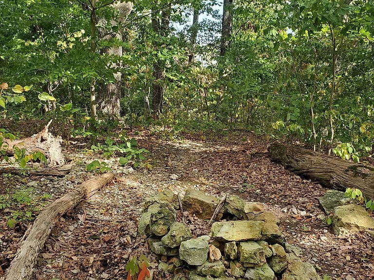 6621 Chatsworth Pl Property Photo 2