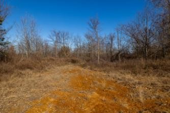 0 White Oak Rd Property Photo 2