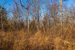 0 White Oak Rd Property Photo 4