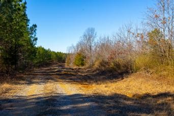 0 White Oak Rd Property Photo 5
