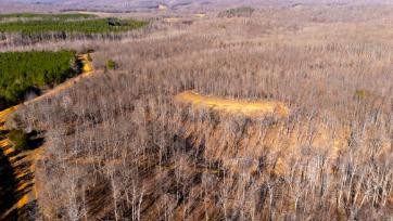 0 White Oak Rd Property Photo 9