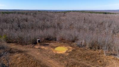0 White Oak Rd Property Photo 17