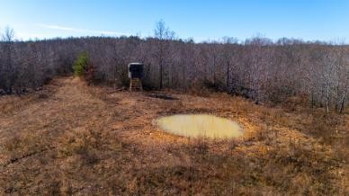0 White Oak Rd Property Photo 19