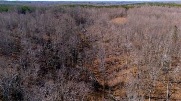 0 White Oak Rd Property Photo 20