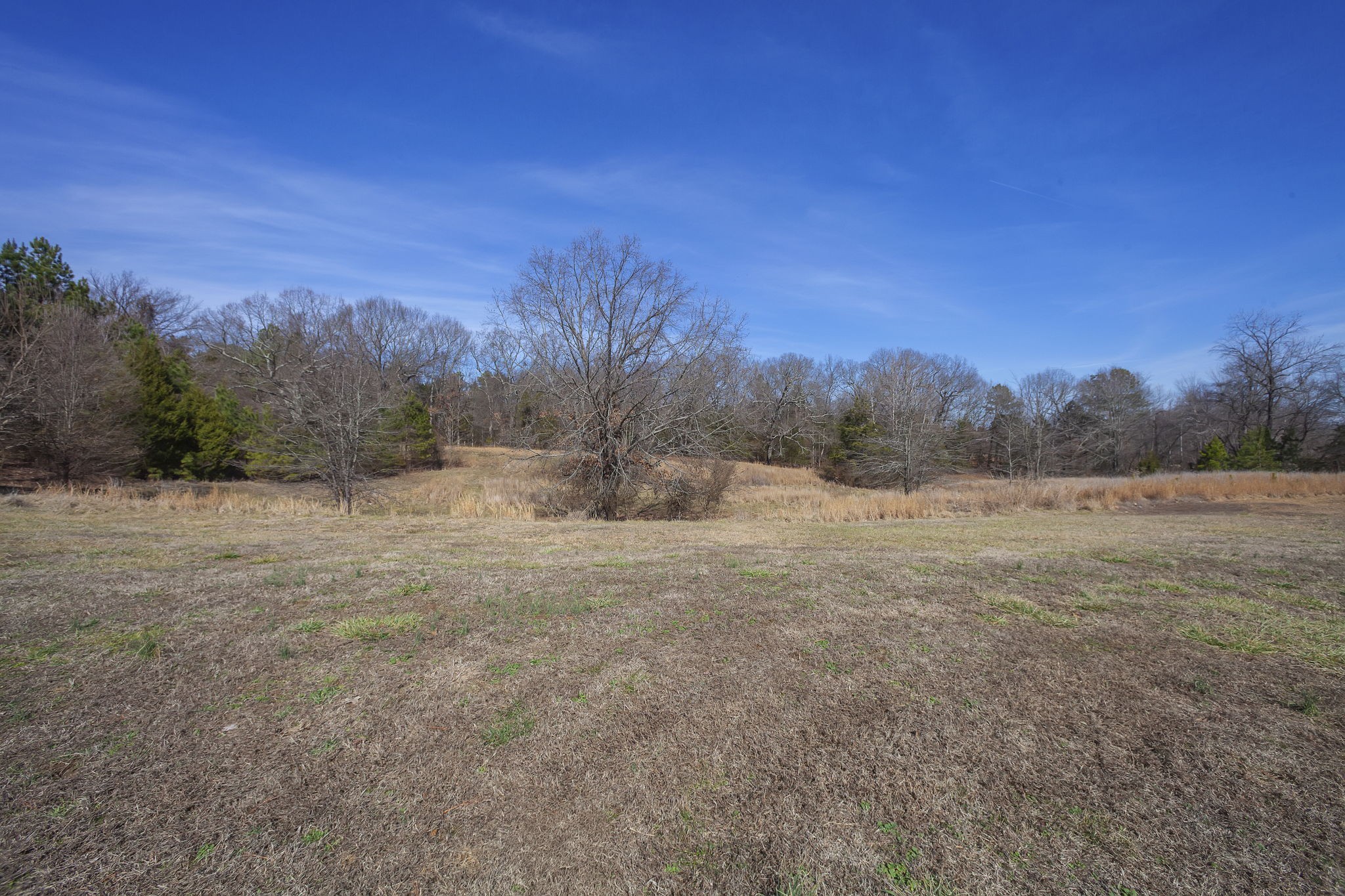 21495 Highway 79 Property Photo 5