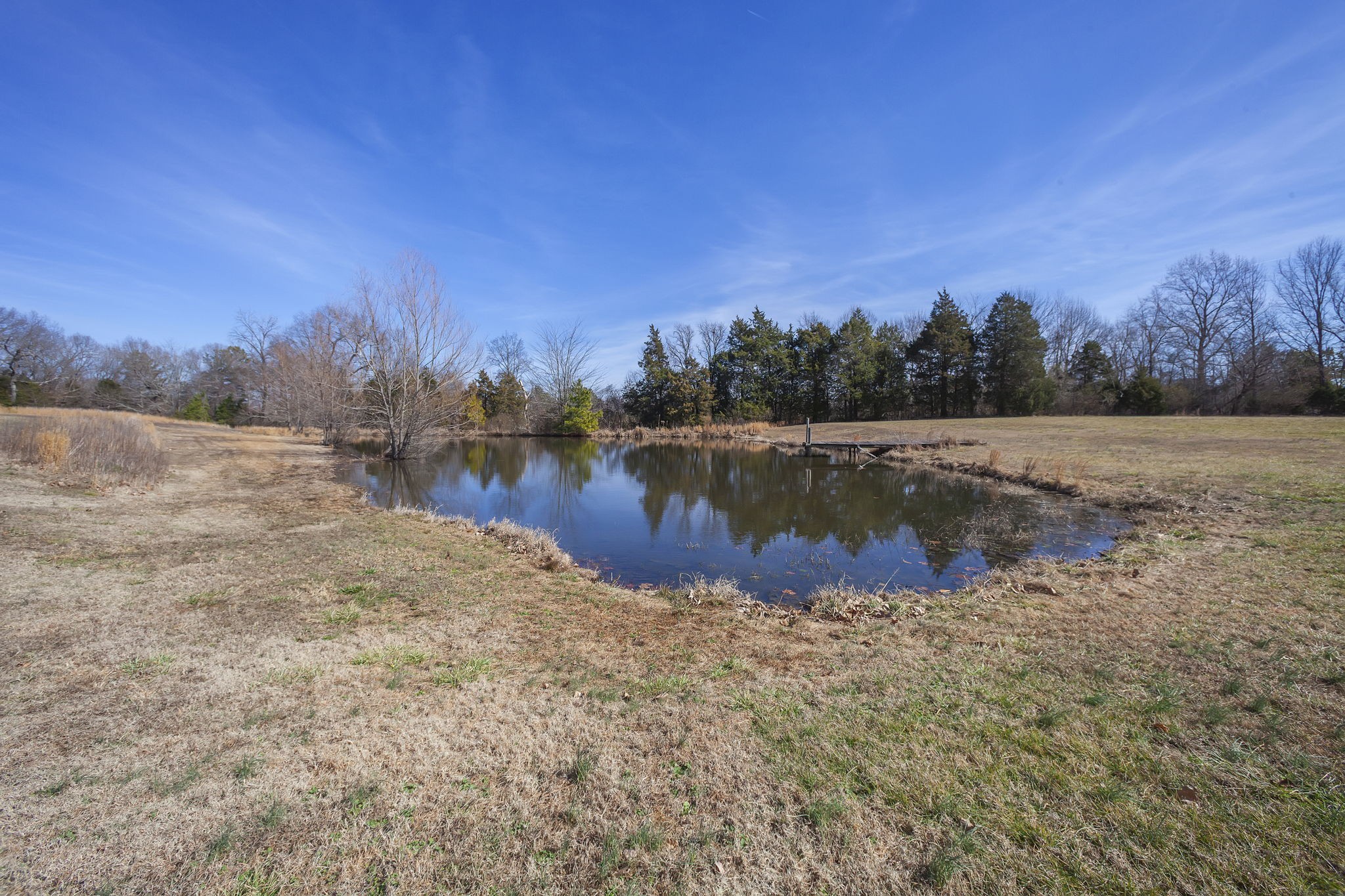 21495 Highway 79 Property Photo 7