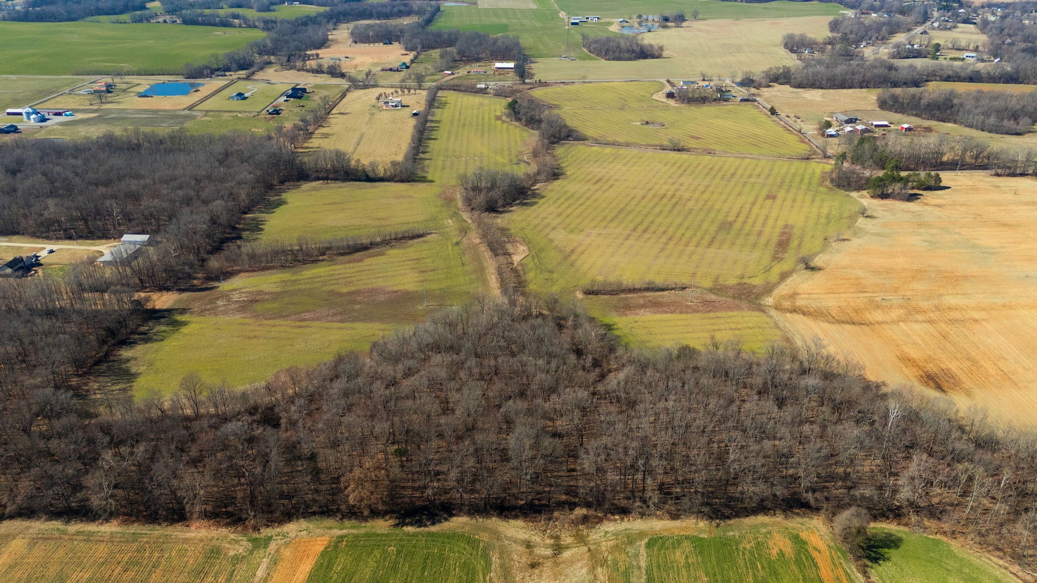 1902 Kinneys Rd Property Photo 3