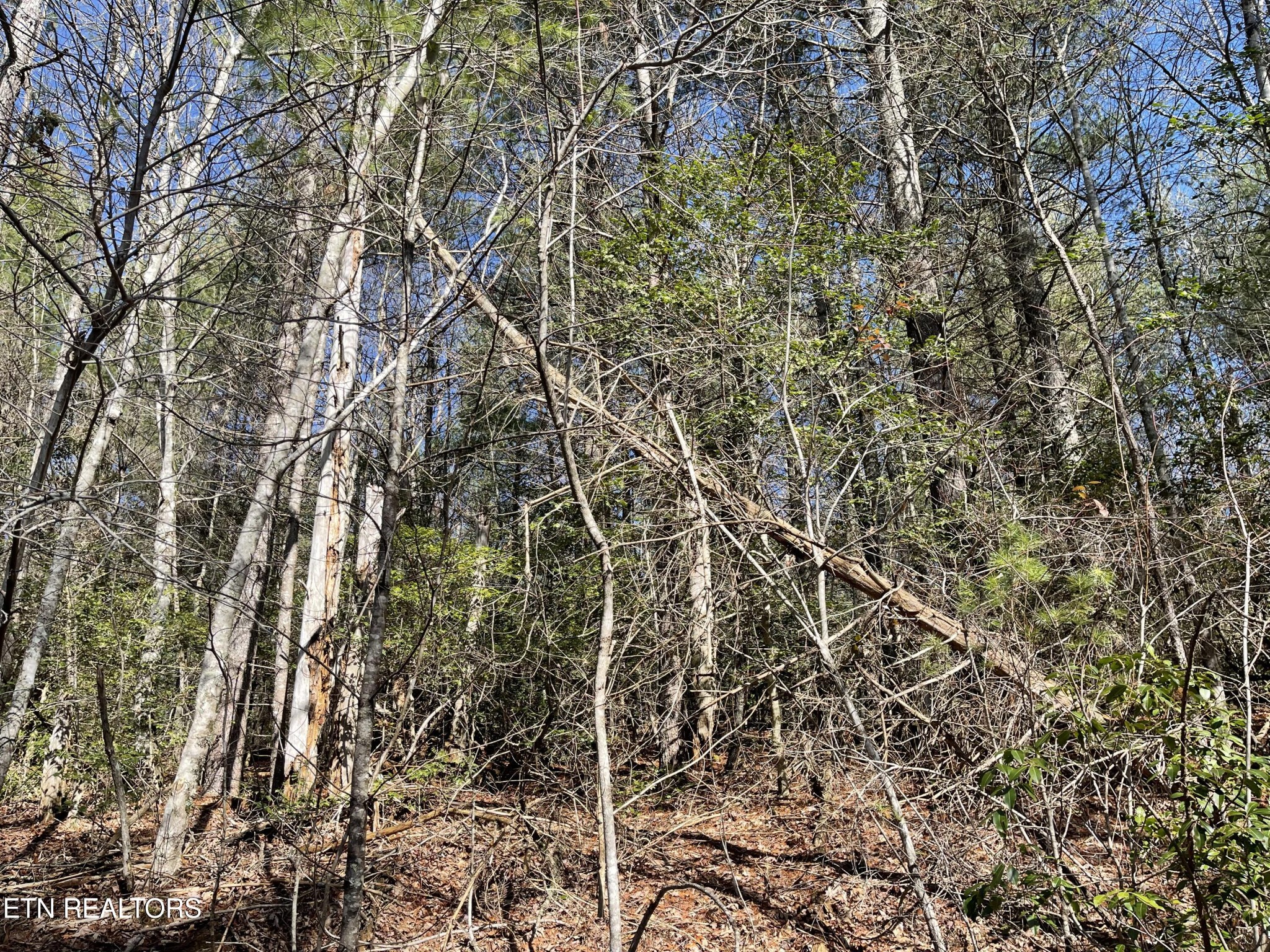 24 Chipman Court Property Photo 1