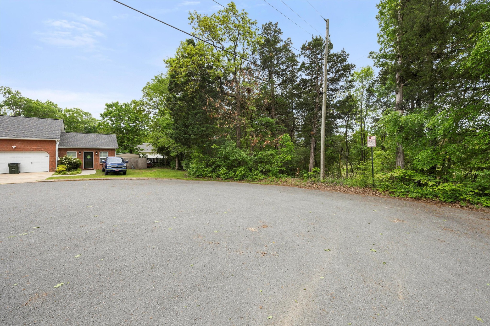 0 Dandelion Trail Property Photo 2