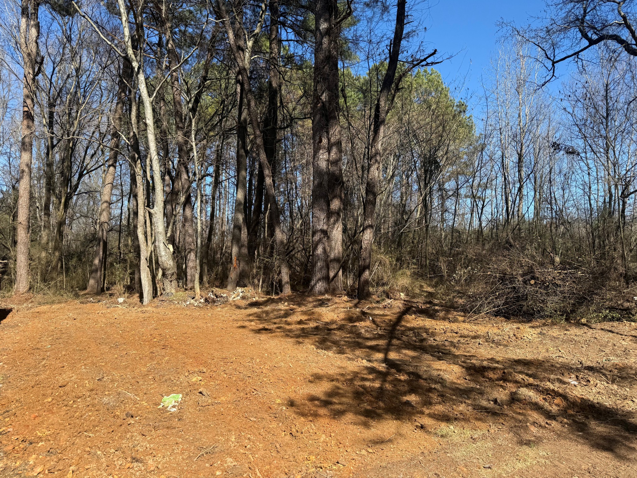 17315 Al Highway 251 Property Photo 3