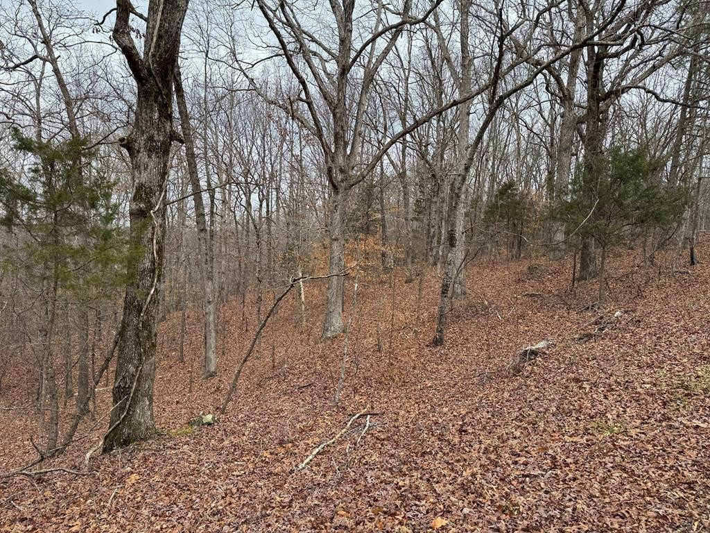 613 Williams Grove Rd Property Photo 1
