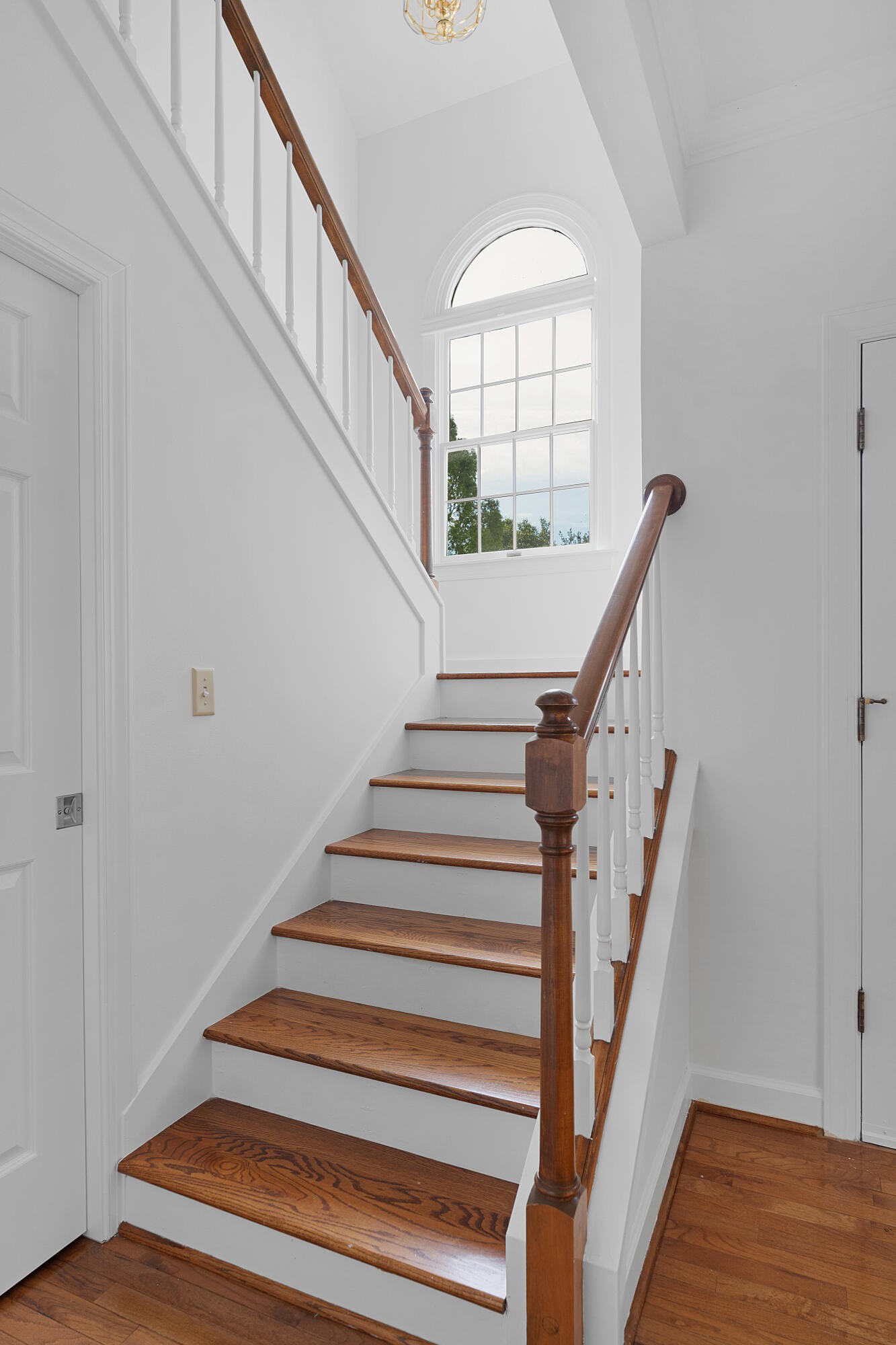 1014 Ariel Lane Property Photo 20