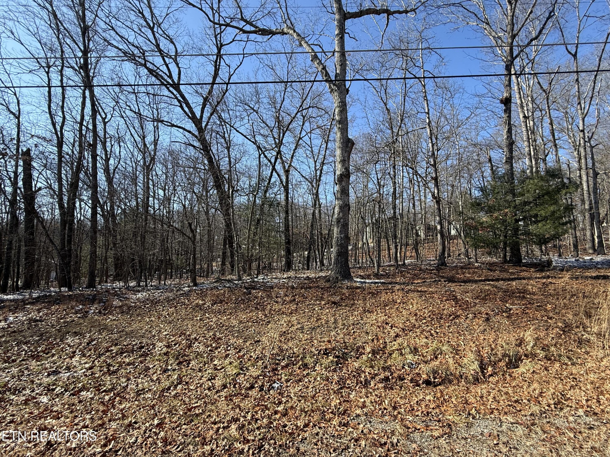 116 Kings Down Drive Property Photo 1