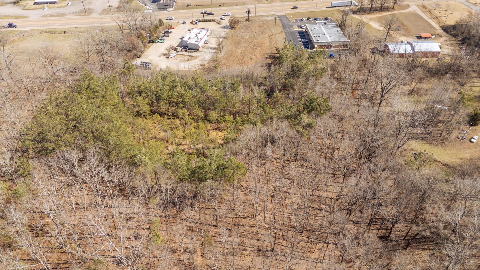 0 Mulberry Ave Property Photo 8