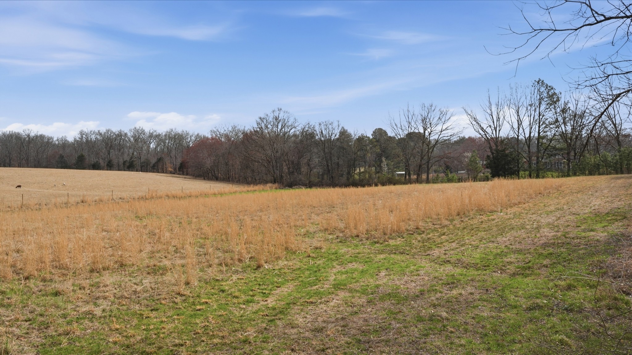 0 Short Springs Rd Property Photo 1