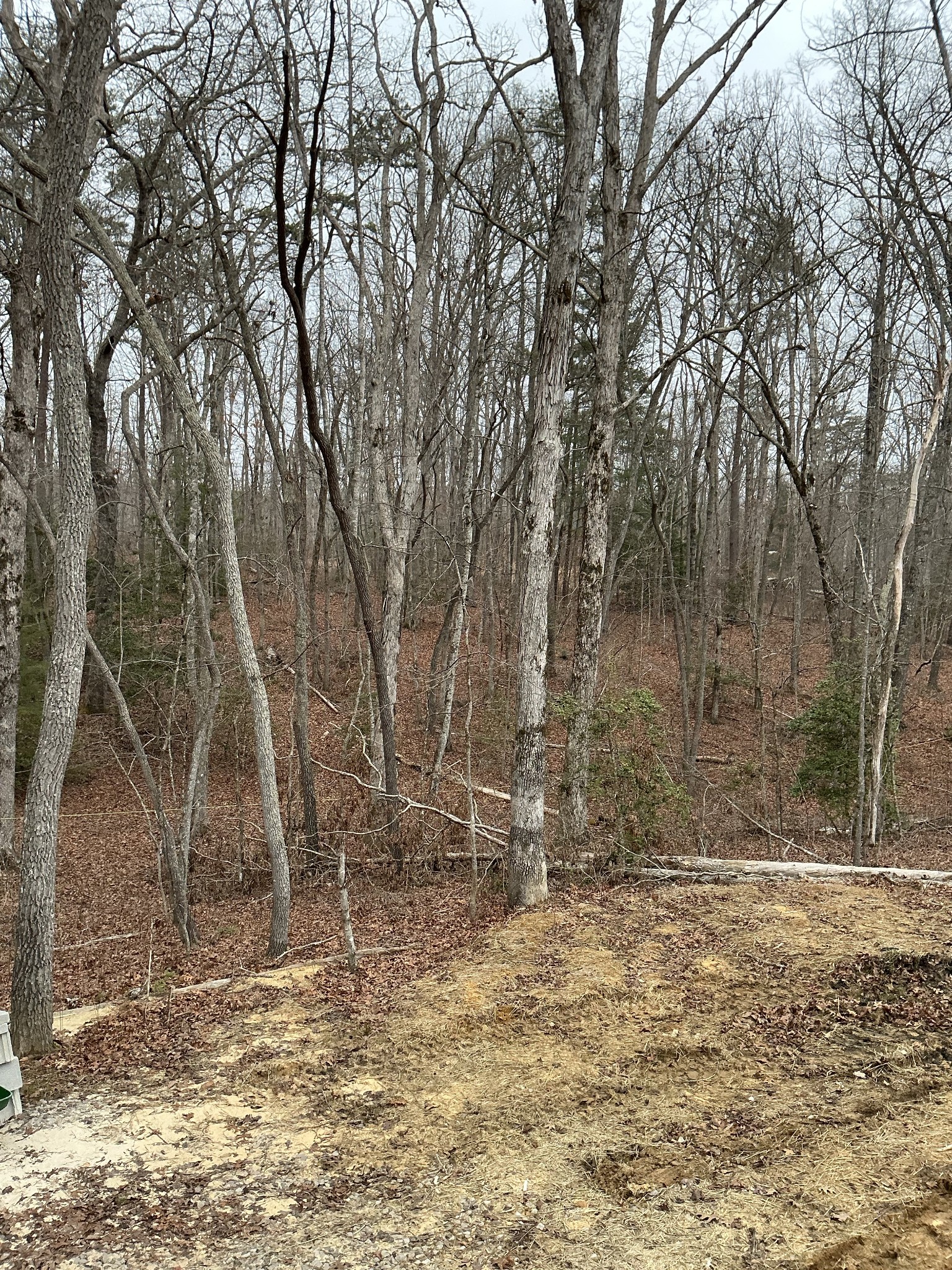 549 Dollar Dr Property Photo 30