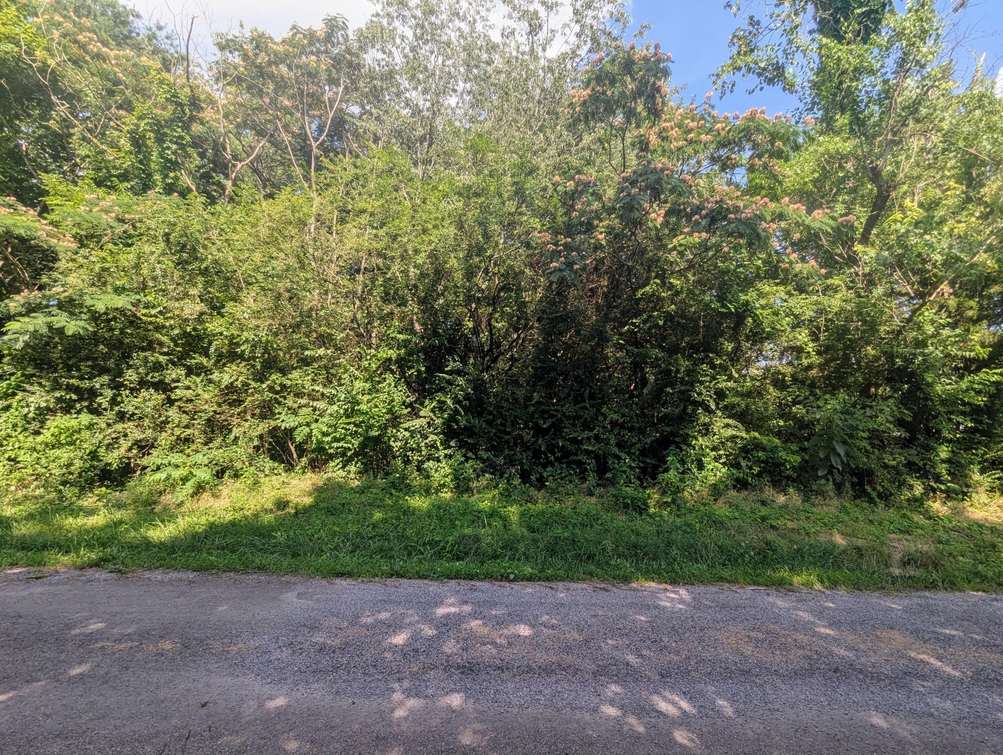 0 County Road 493 Property Photo 1