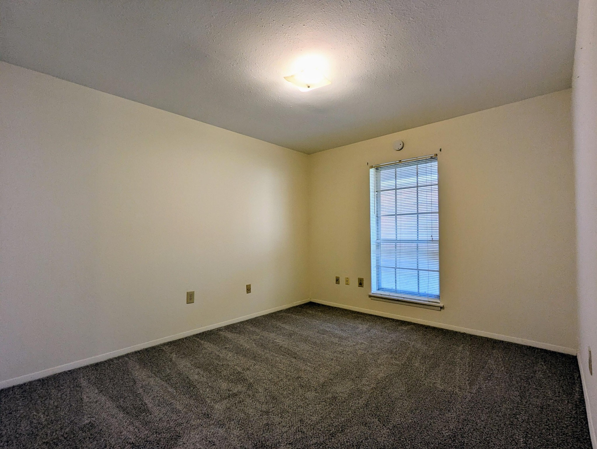 900 Mountain Creek Road Property Photo 9
