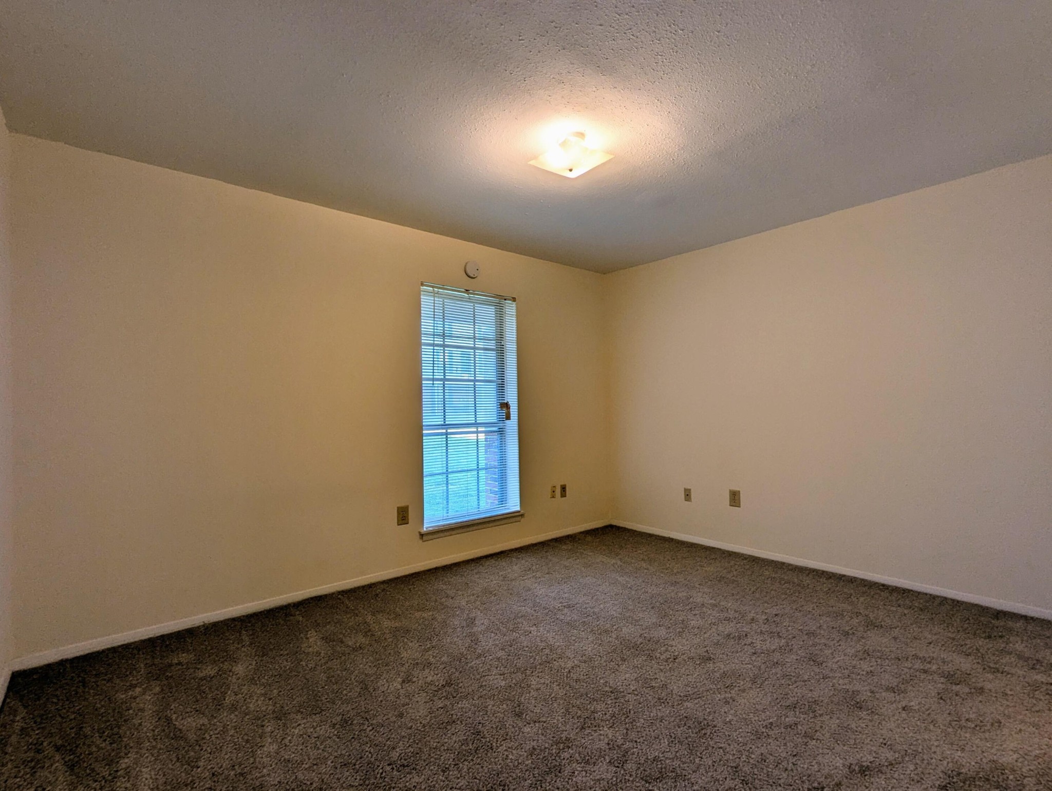 900 Mountain Creek Road Property Photo 10