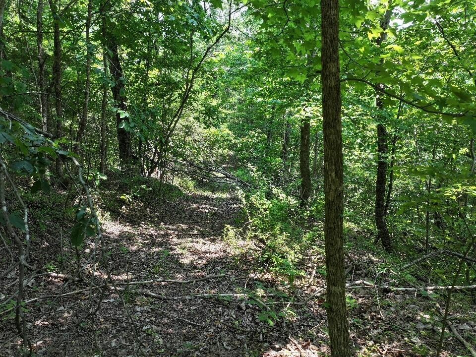 0 Cherry Ln Property Photo 1