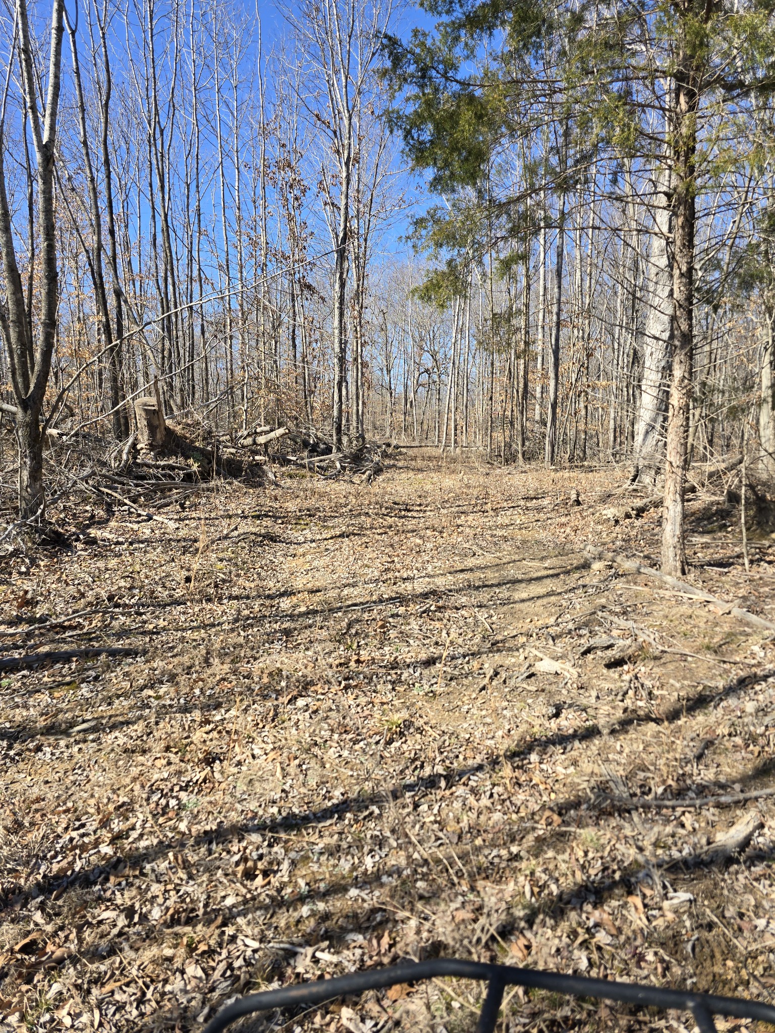 0 Honey Fork Road Property Photo 1