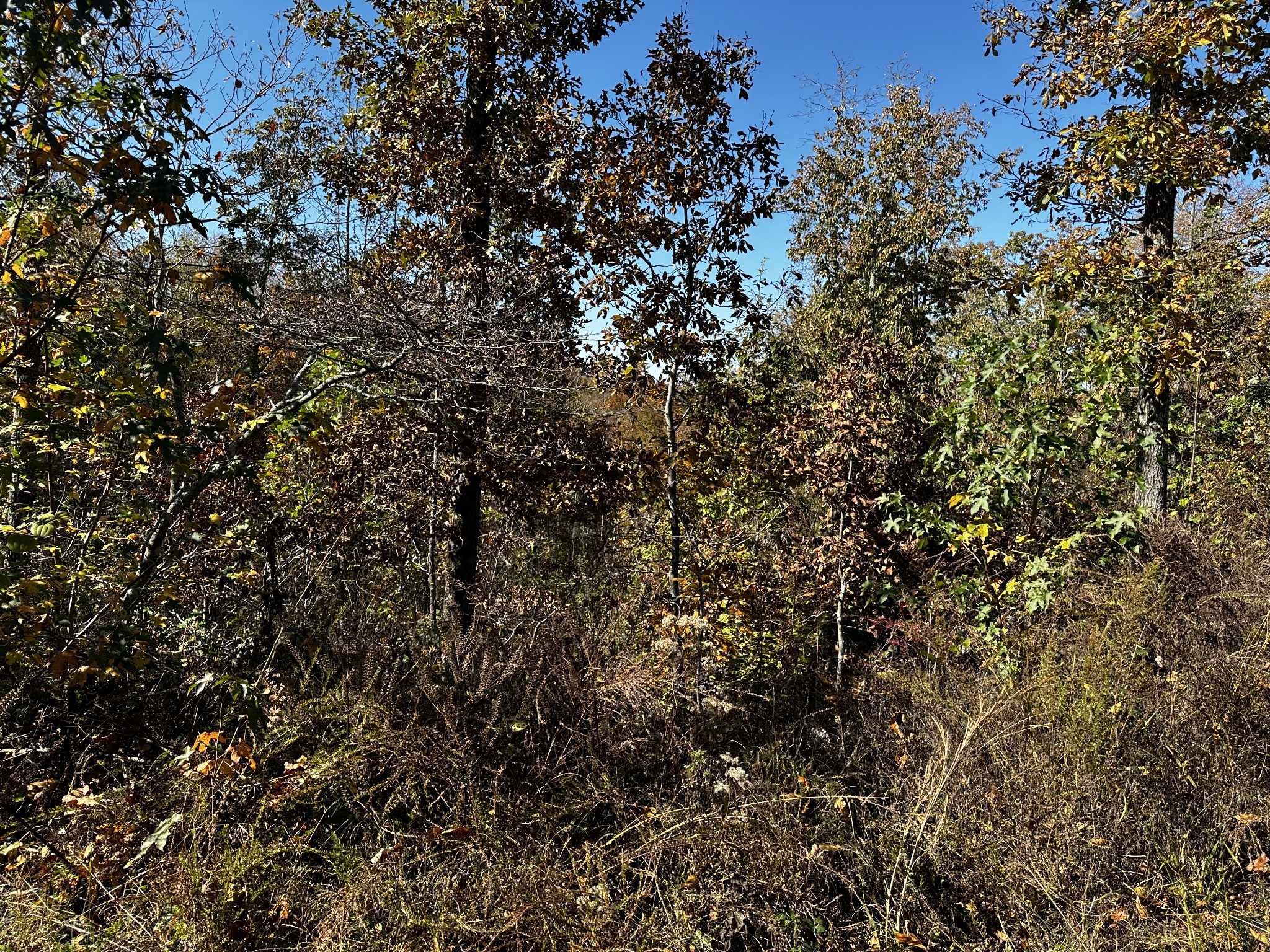 0 Ridge Top Rd Property Photo 1