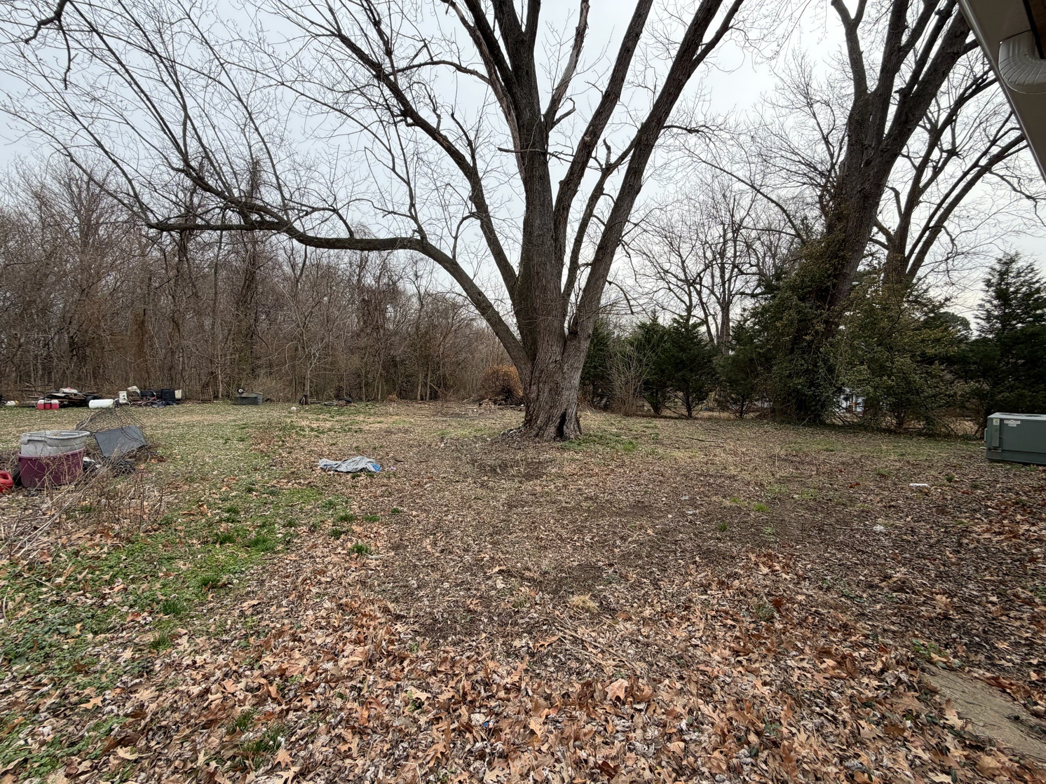 109 Apple Tree St Property Photo 17