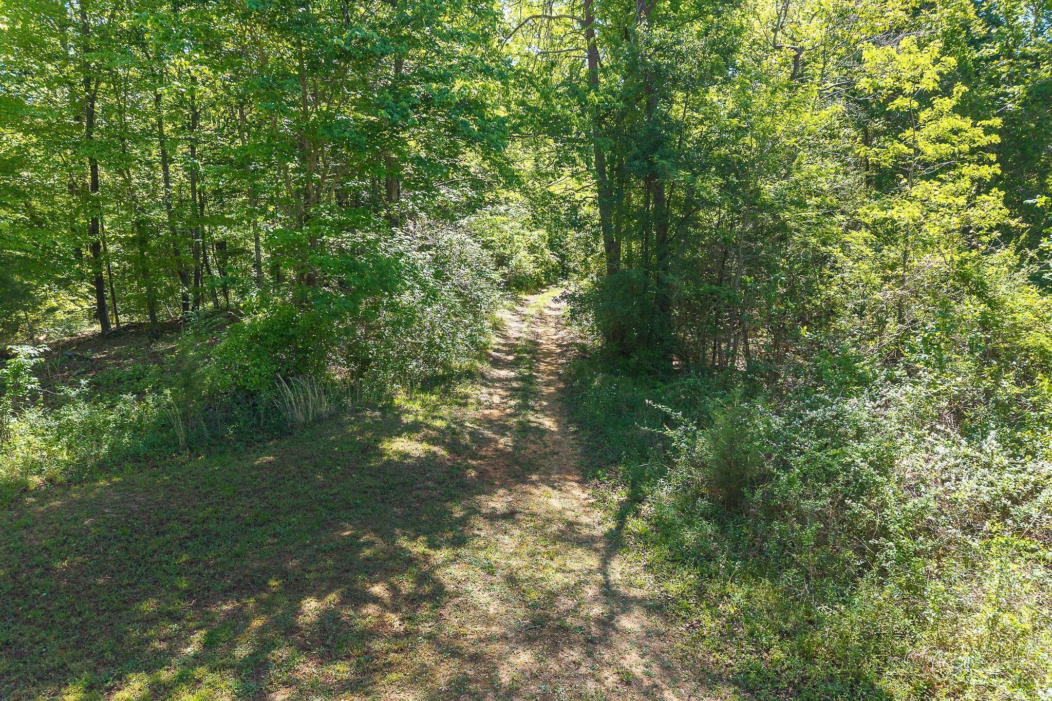 0 Walker Rd Property Photo 8