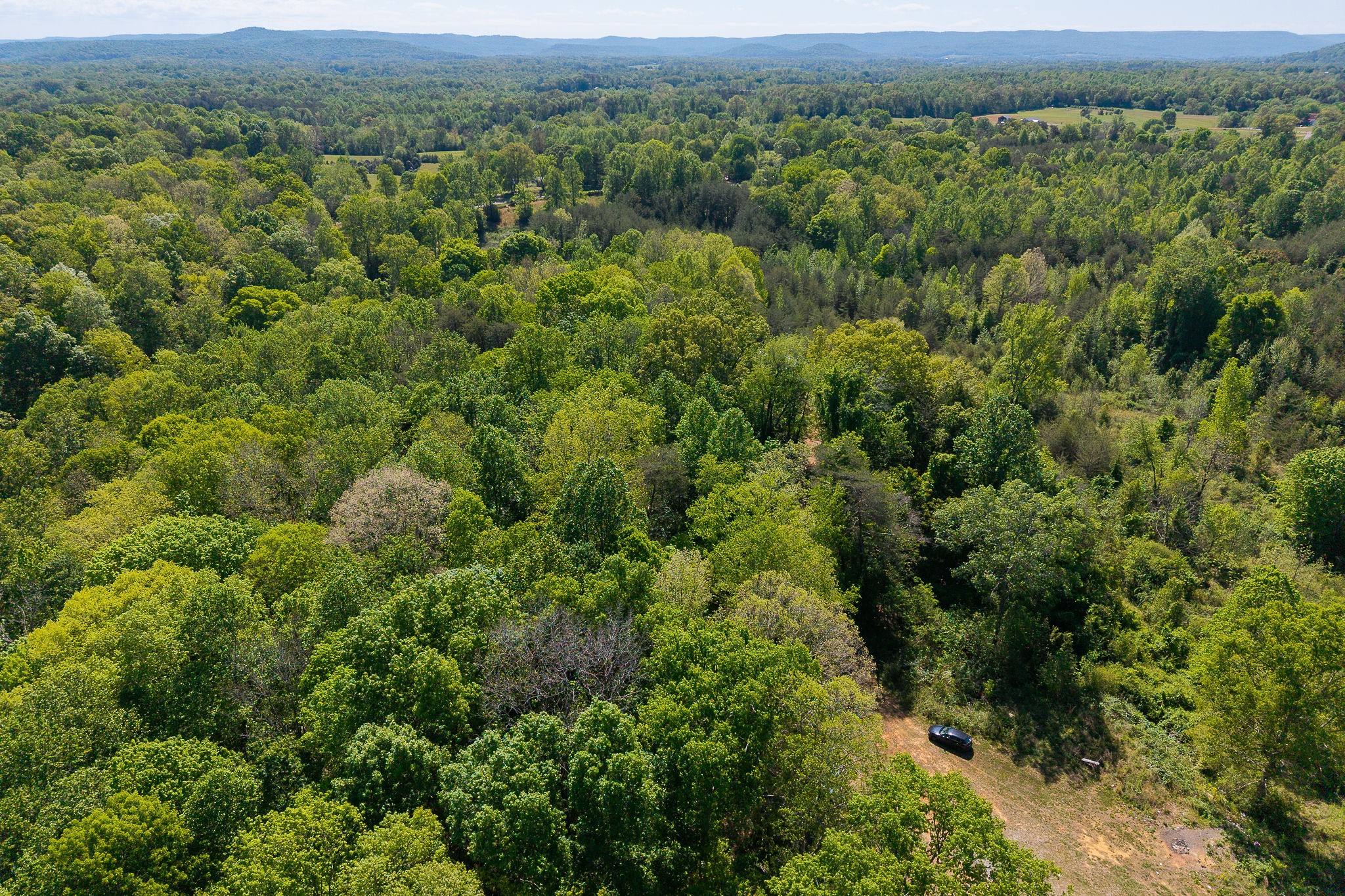 0 Walker Rd Property Photo 10