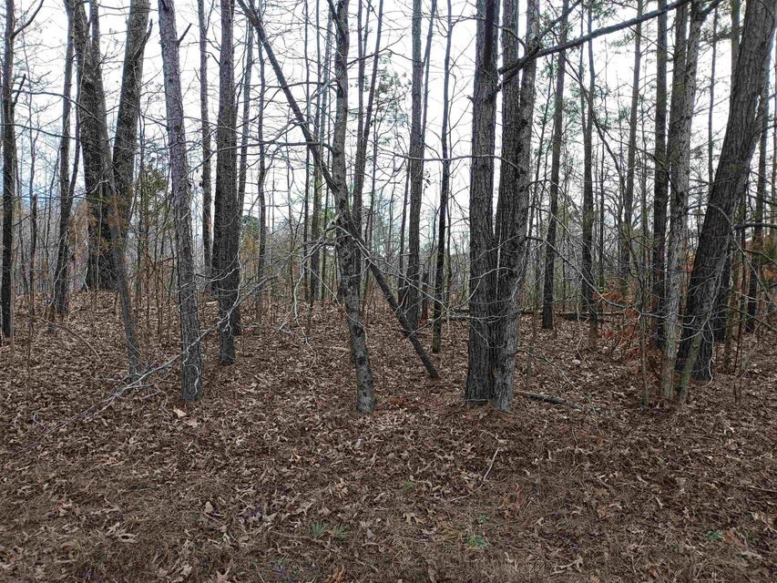 0 Highway 18 Property Photo 1