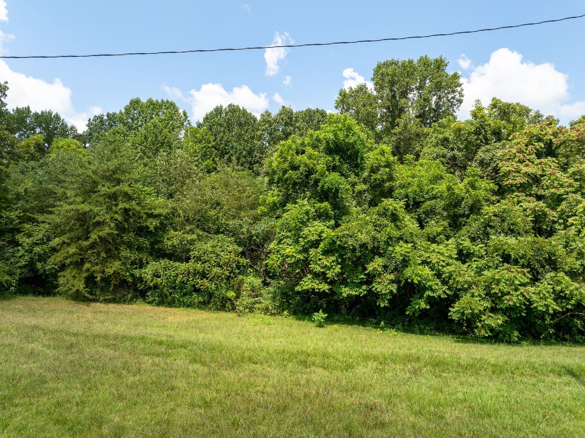 1374 Deal Rd Property Photo 11