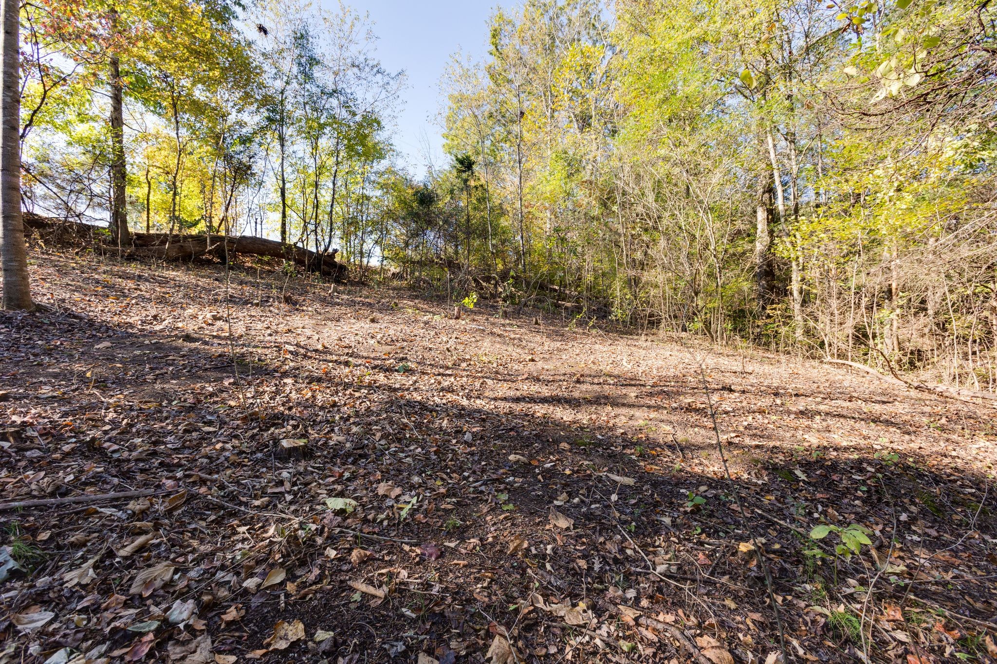 1374 Deal Rd Property Photo 26