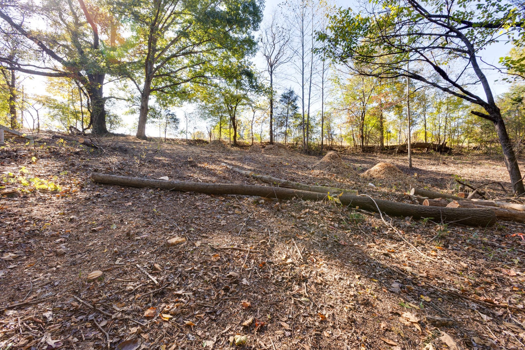 1374 Deal Rd Property Photo 27