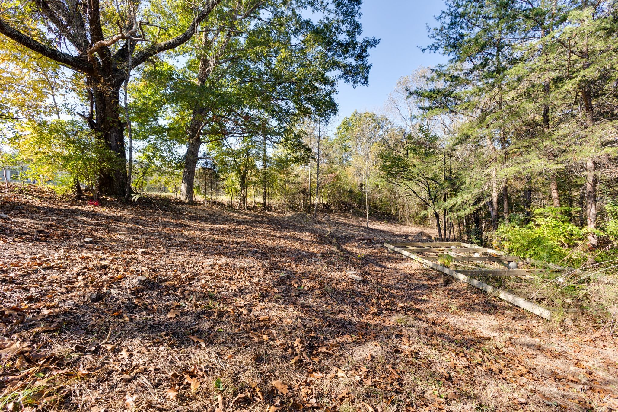 1374 Deal Rd Property Photo 28