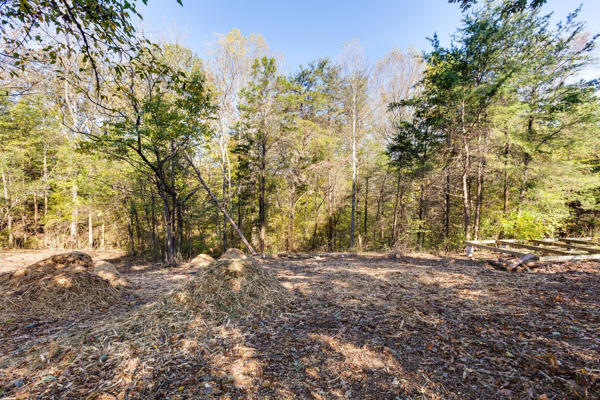 1374 Deal Rd Property Photo 29
