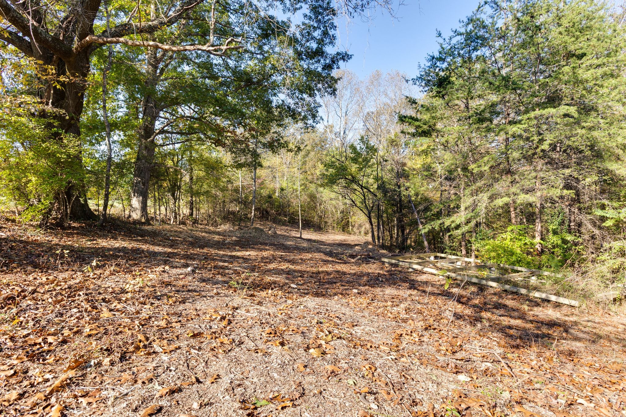 1374 Deal Rd Property Photo 31