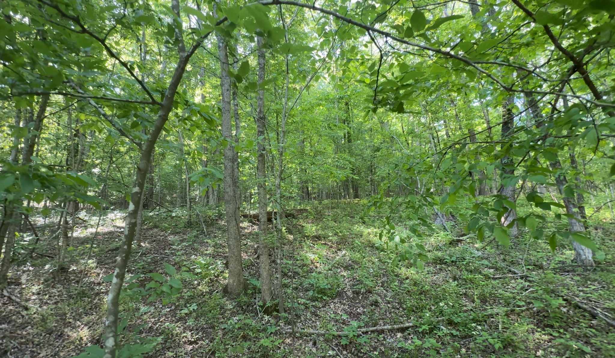 140 Ben Johnson Rd Property Photo 6