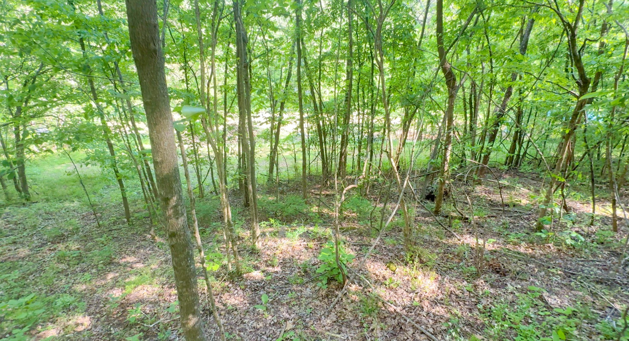 140 Ben Johnson Rd Property Photo 7