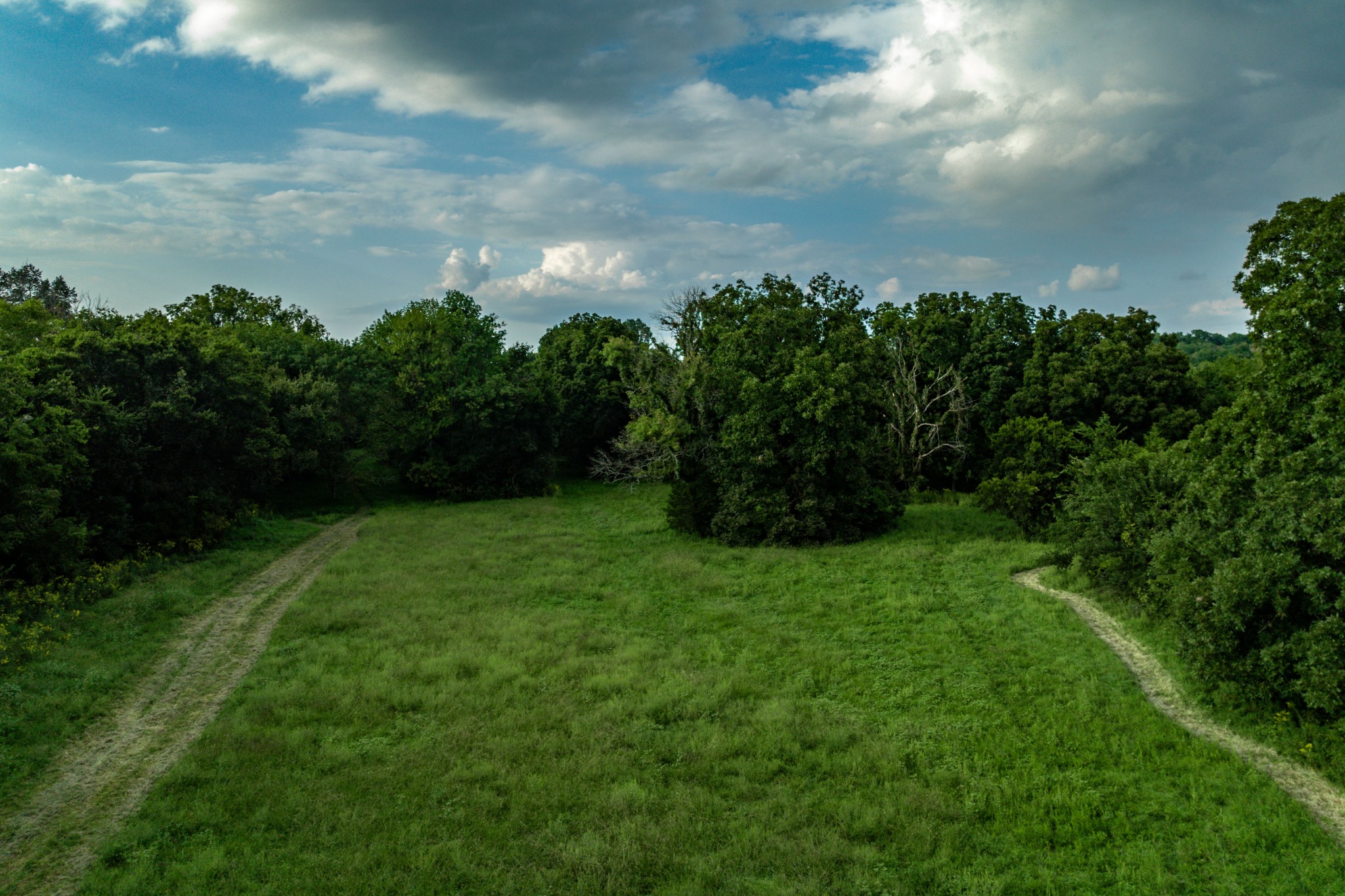 4534 Long Ln Property Photo 11