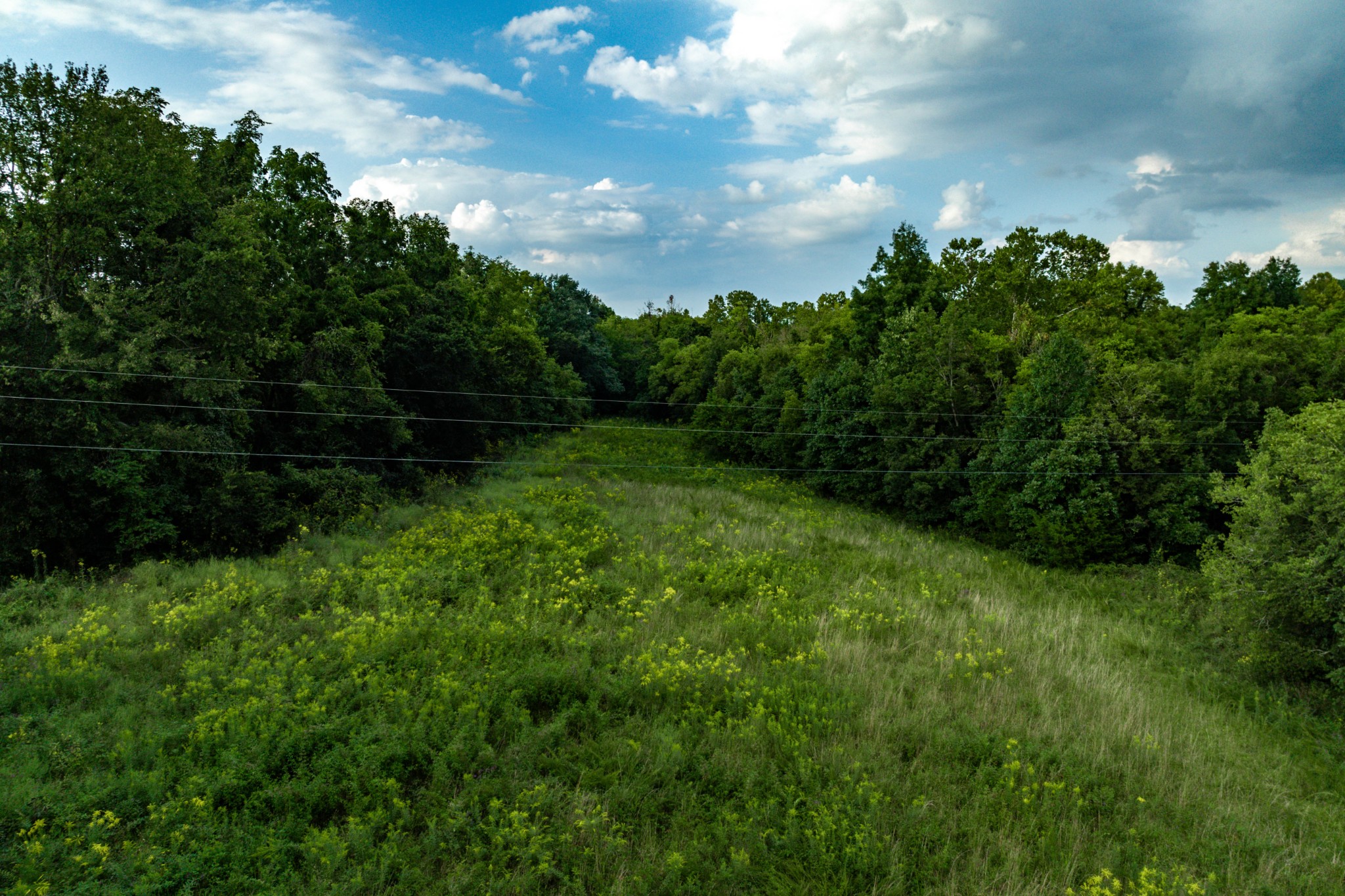 4534 Long Ln Property Photo 17