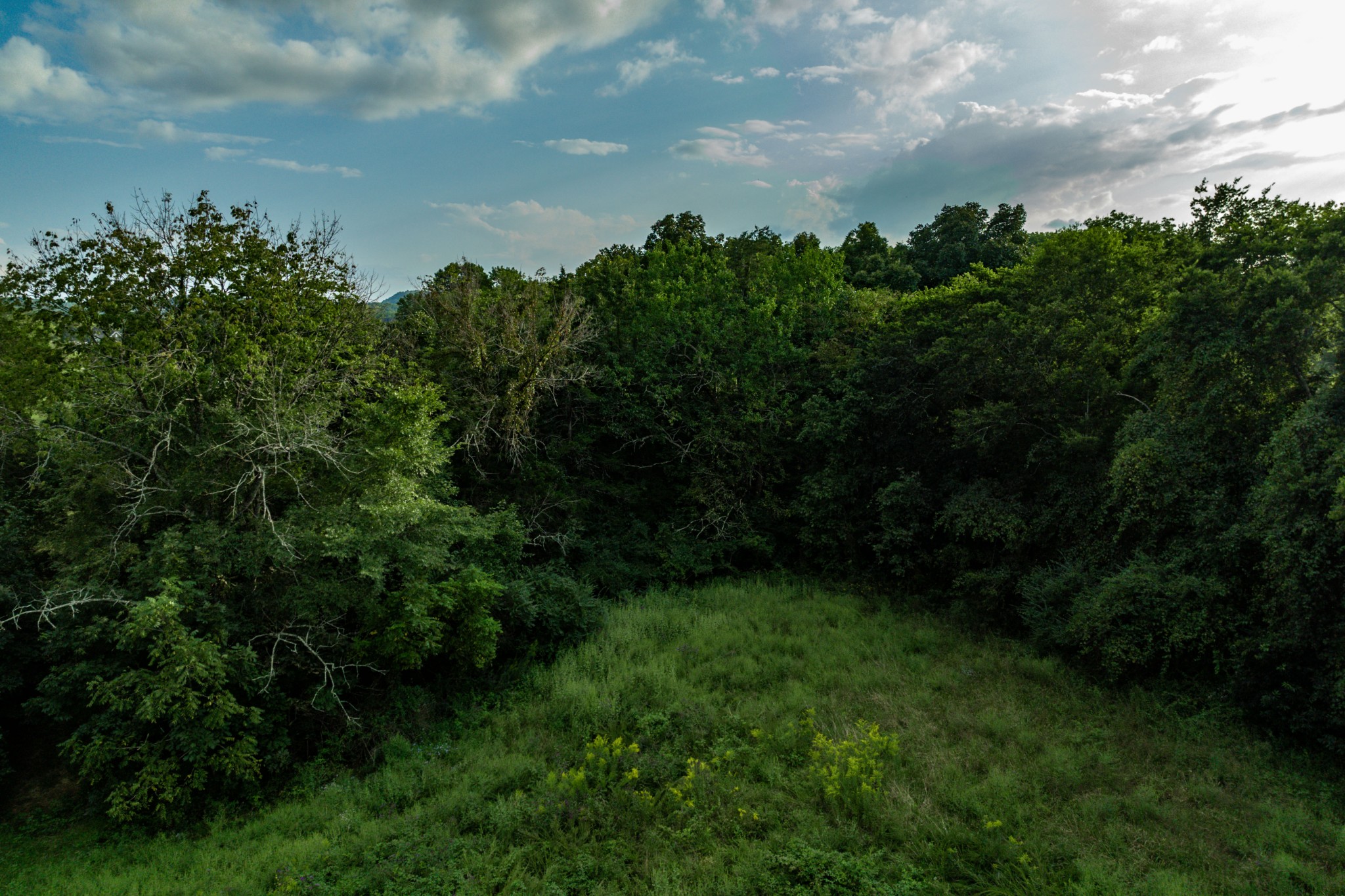 4534 Long Ln Property Photo 18