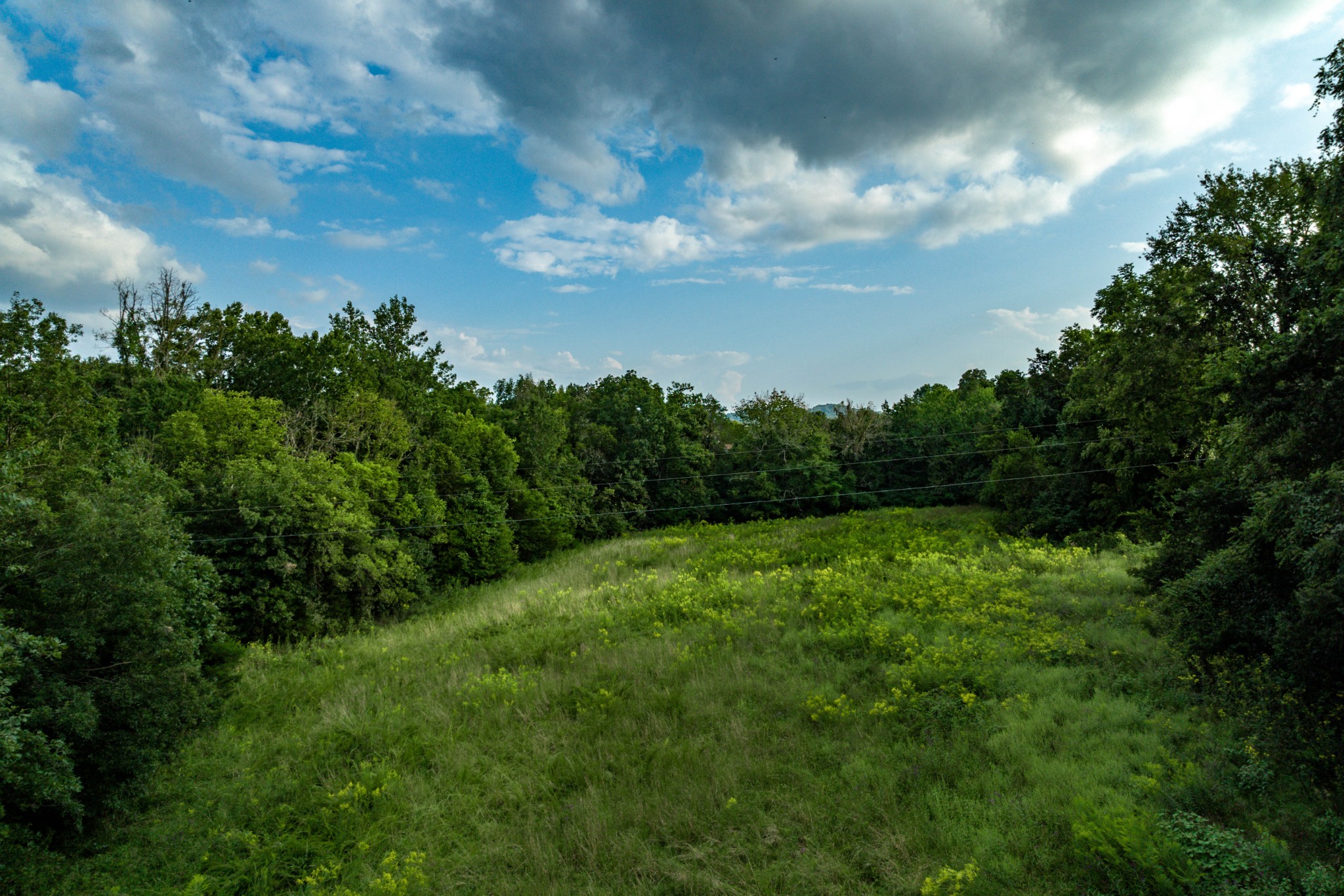 4534 Long Ln Property Photo 19