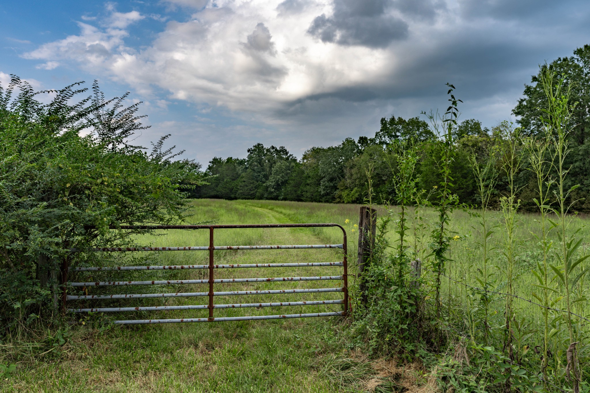 4534 Long Ln Property Photo 42