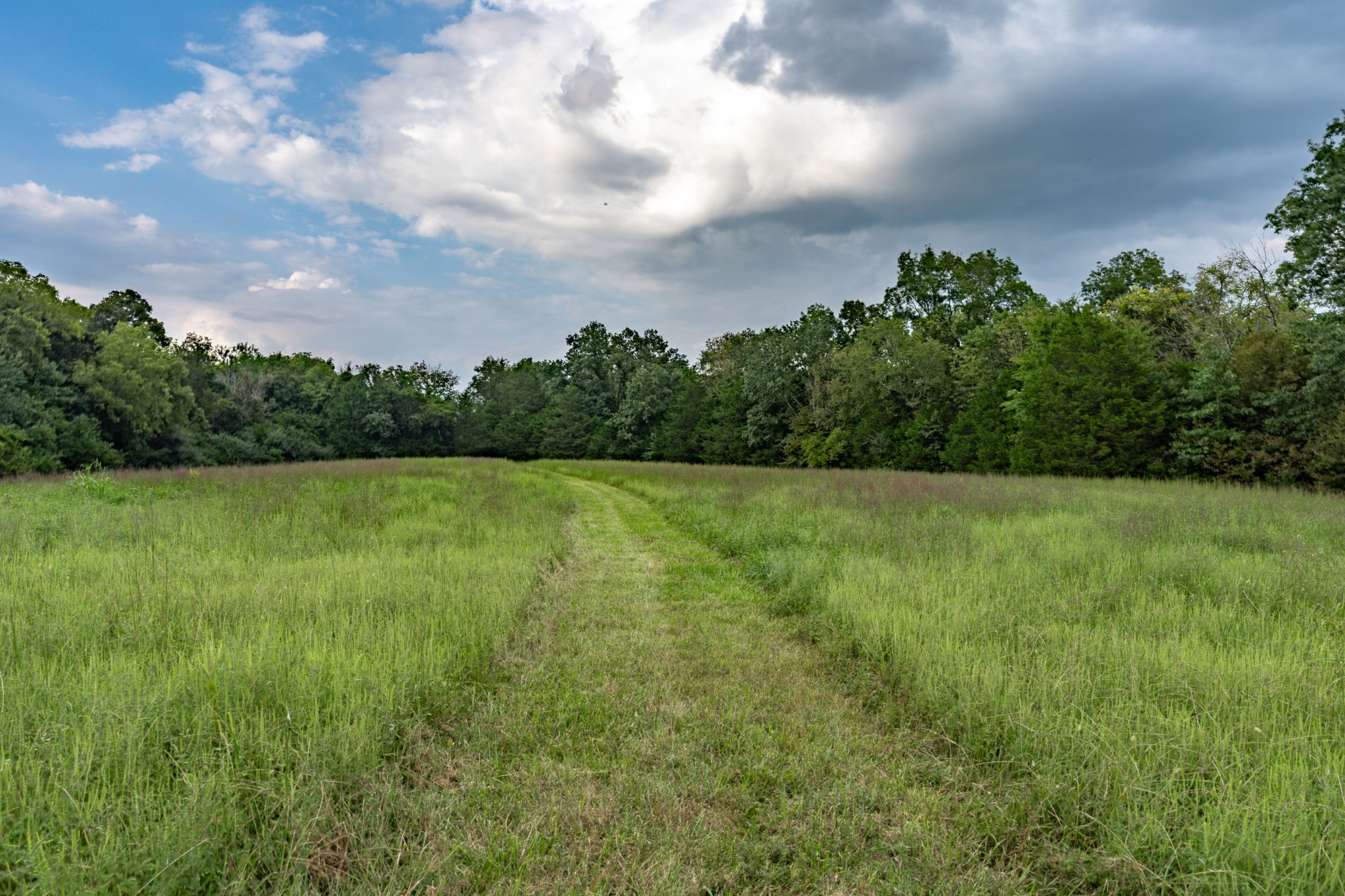 4534 Long Ln Property Photo 43